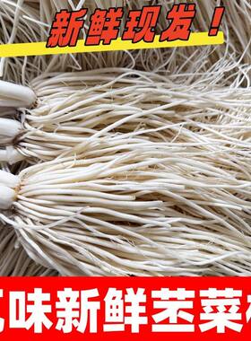 云南德宏新鲜撇菜根可腌瓦味鸡脚