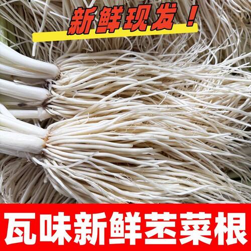云南德宏新鲜撇菜根可腌瓦味鸡脚