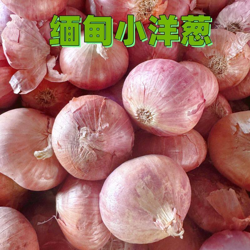 正宗缅甸小洋葱紫皮圆葱红洋葱红葱头小红葱农家德宏干葱烧菜涼伴