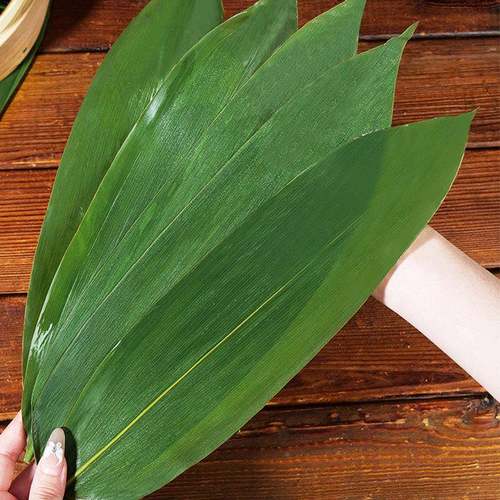 保竹鲜子叶包粽叶宽特PVE粽大号箬叶真空不开裂端午包粽子叶子邮