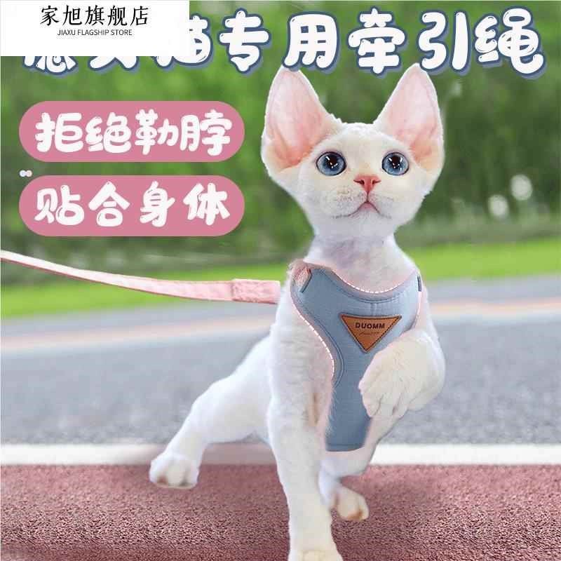 德文猫专用猫咪牵引绳防挣脱德国卷毛无毛猫溜猫绳子外出项圈小猫,宠物/宠物食品及用品,猫牵引绳,淘宝优惠券,粉丝福利购,淘宝优惠卷