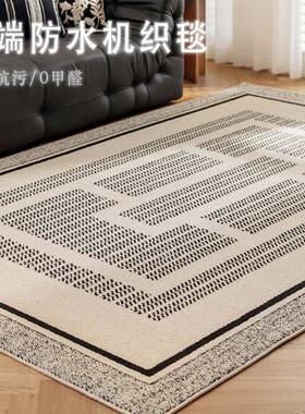防水防污地毯客厅美式轻ABY2奢打级感体浮雕可高擦免立洗免理卧室