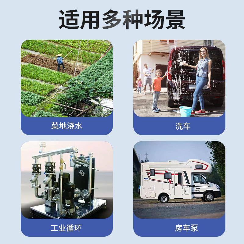 电动小型柴油泵电动抽0油泵加油泵动启停升1自2V24V200W2每分钟