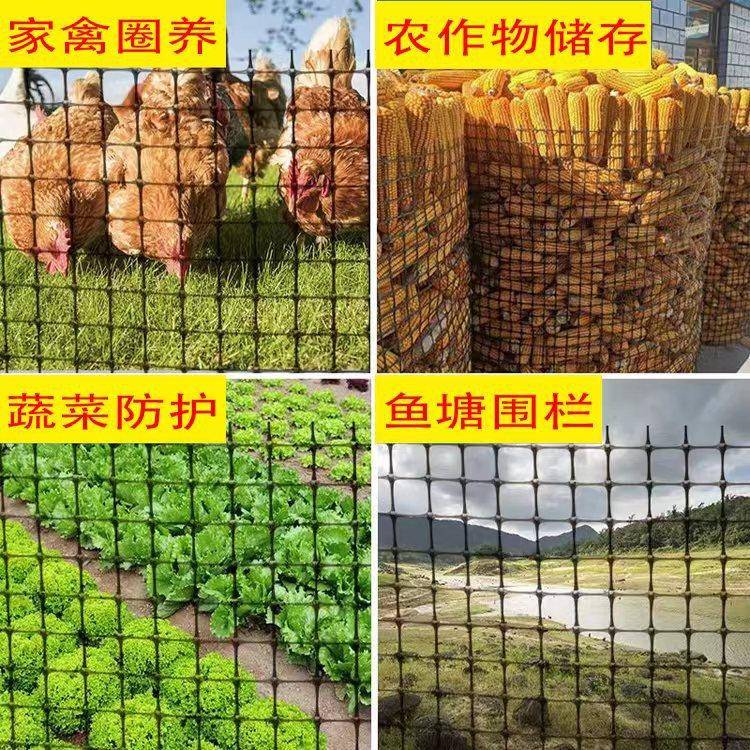 塑料网圈玉米网QSA围养鸭圈地养殖鸡围栏果园菜园土网工格栅塑料