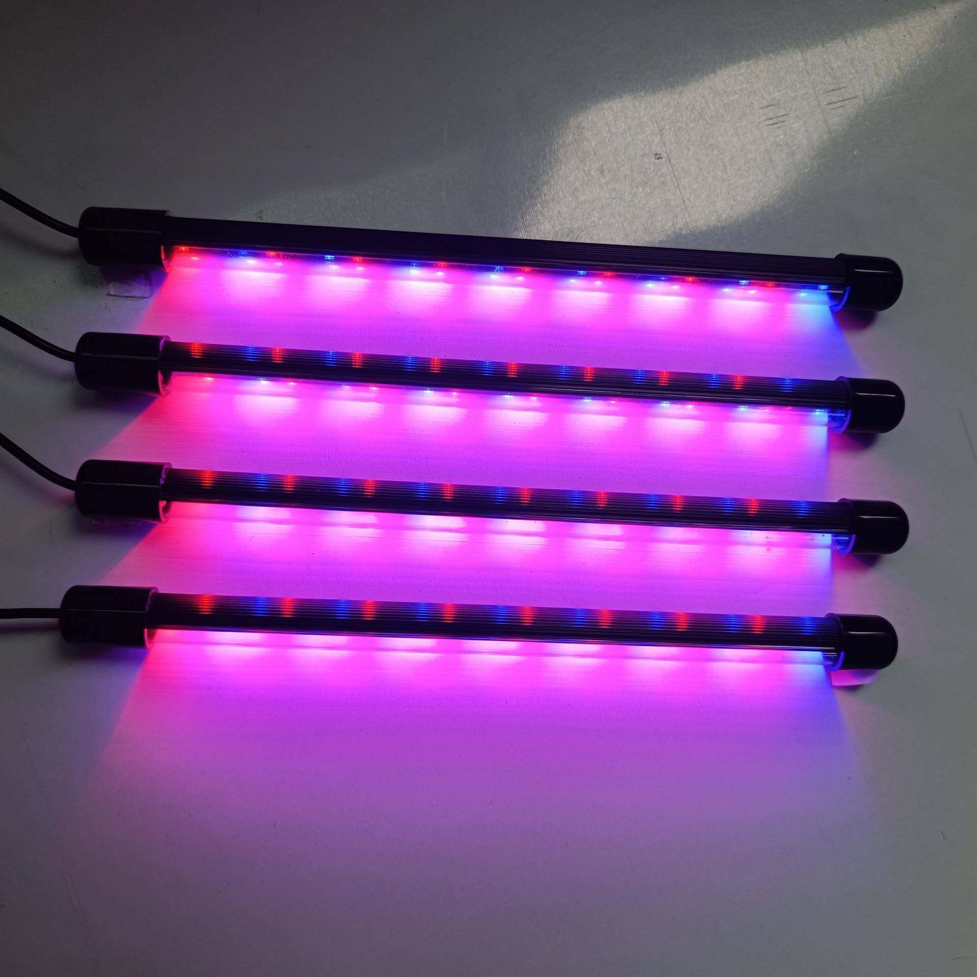 多肉叶插育苗盆苗灯植物灯0套装培养播种盒育苗育盘8孔料PIO育苗