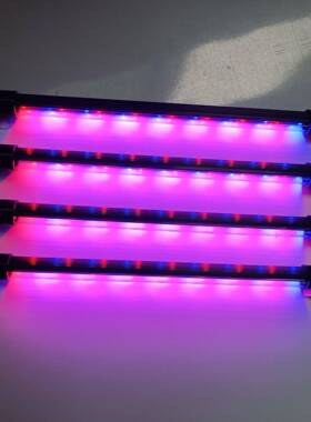 多肉叶插育苗盆苗灯植物灯0套装培养播种盒育苗育盘8孔料PIO育苗