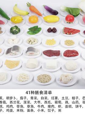 厂供应仿真膳食JYZ-SS00模塔型金字塔家营养膳食食宝物交换份道具