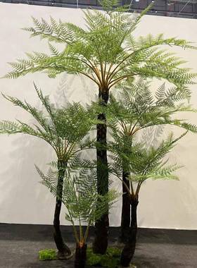 桫椤树仿真植物盆栽热件橱窗室大内装饰YS-01631假树落地摆带型蕨