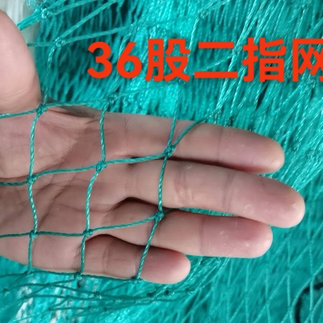 网片聚乙烯全新料渔网大网眼网片精品聚乙烯网片养鸡围栏网拦网