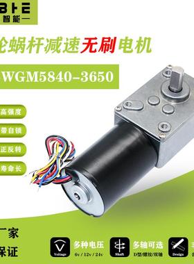 5840-3650无刷直流减速调速电机大扭矩低速马达12v24蜗轮蜗杆自锁