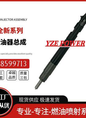 28599713共轨柴油喷油器1100100XED95适用于德尔福4D20M发动机