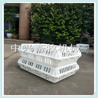 山东鸡WFM笼厂优质塑鸡方形大鸡笼周料转家筐