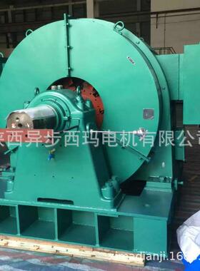 TK1000-14K/173西01000W10000V玛压缩机用同步机89841高压同步电