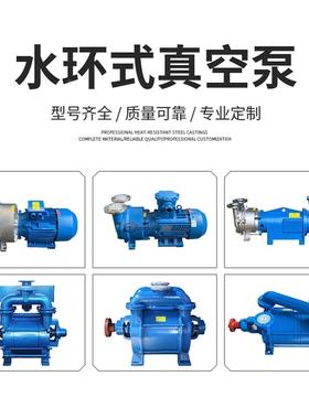 2BV水环式真泵空真高品质国标电机铜芯2B454V空不锈钢空泵真机组