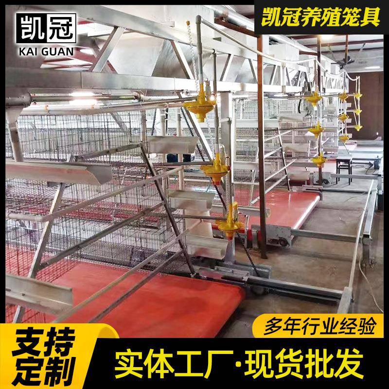 三FRT层阶梯式蛋鸡笼全自蛋鸡动养殖笼子组合阶梯立式蛋鸡体笼子