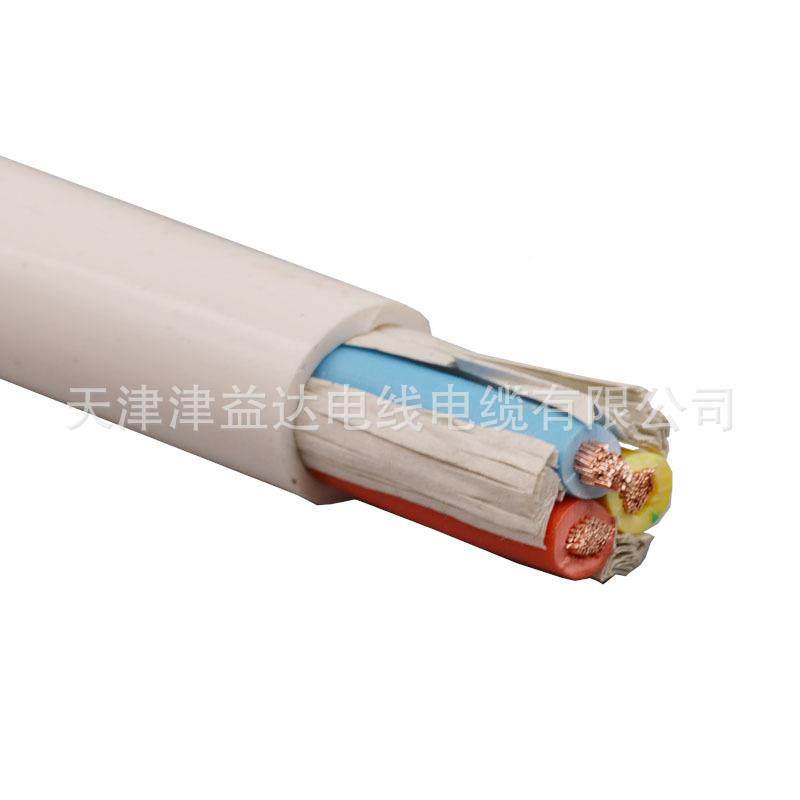 rv.5v护954套线2芯3芯12.5平方电线国标家装电线铜芯软线100米rvv