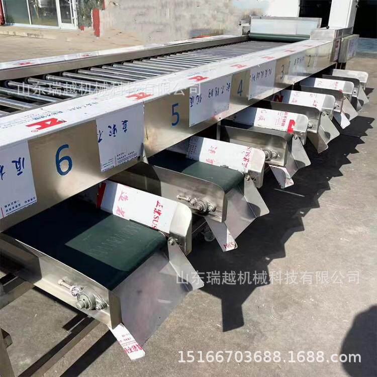 千喜果筛选机商用土豆分选机不锈钢滚杠分级机胡萝卜筛选设备