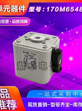 170M6588170M6589170M6590170M6591170M6592170M6593熔断器