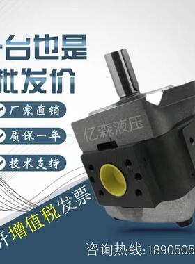 德国VOITH福伊特液压齿轮泵IPV3-3.5/5/6.3/8/10-101高压油泵