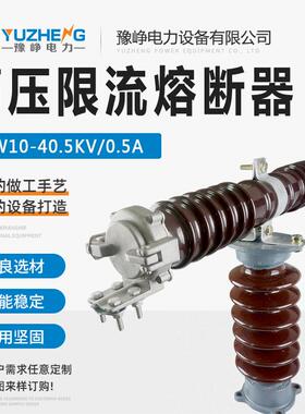 RW10-40.5KV/3A35KV户外高压限流熔断器快速PT熔断器
