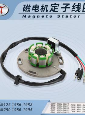 RM12586-88RM25086-9532101-01B3032101-01B31摩托定子线圈