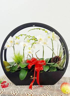 新兰中式蝴蝶花架仿真植物花花盆简约圆轻奢rbjj1215年宵盆栽摆件