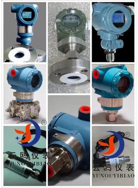 153051115变1DP+11199差压送器电式法兰液位变送器双容法兰带毛细