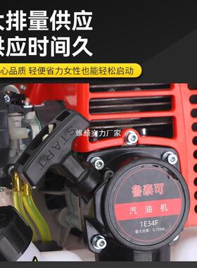 1E3F汽油机割草机动机大功率地XDX钻灌4机水泵割园林工具发用配件