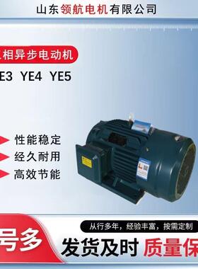 11KW16915千瓦全铜三2相大马力电机3850V18.5/2/30/3745/5//75/90