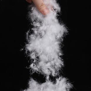 新标07松80590白鸭白鹅绒高蓬0羽绒填OZD充物羽绒棉水洗羽绒