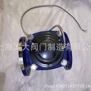 上海牌沪光水表远传水表RS485接口法兰远传水表可拆式水表DN100