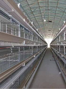 厂家蛋层叠式全捡自动化蛋清粪UNP/养鸡设备小鸡层叠笼养殖设备