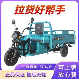 电动轮车载重王货成人新款 用家拉电瓶车拉货三轮车快JJ1000DZ递车