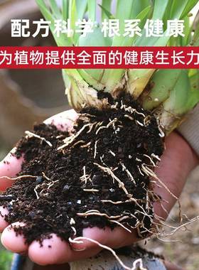 营养土通用用养花专100斤种菜土植物土壤家泥lzy70213土花花卉用