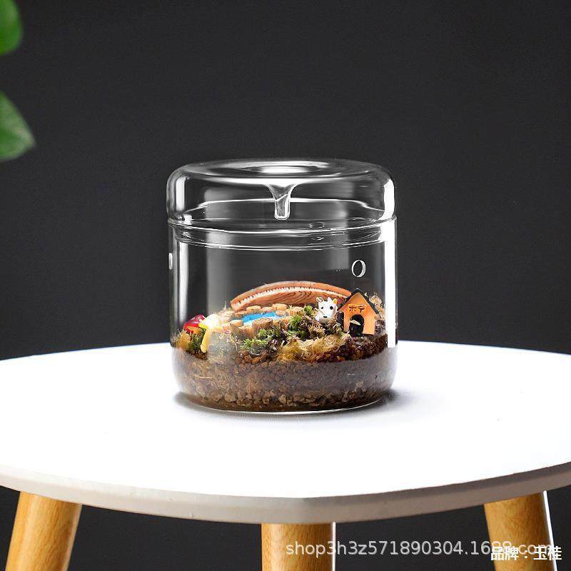 收藏手作桌面WZN玻璃微景态观杯露集植物观赏瓶透明采瓶光鱼缸生,鲜花速递/花卉仿真/绿植园艺,苔藓微景观,淘宝优惠券,粉丝福利购,淘宝优惠卷