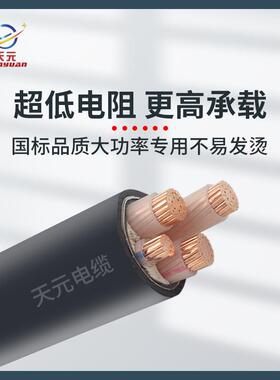 阻燃线缆150185240300平方3+24+15芯铜芯铠装线Y565JV22电线