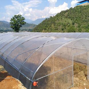 地膜保温农用地膜聚乙烯黑白大棚膜双色黑色防草降解塑料薄膜