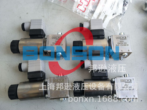 HAWE/哈威，BVP1R-GM24，BVP1R-G24EX，BVP1RK-G24，BVP1R-P