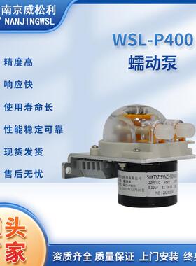 WSL-P400蠕动泵冷凝器排水泵CEMS在线监测配件真空排水泵