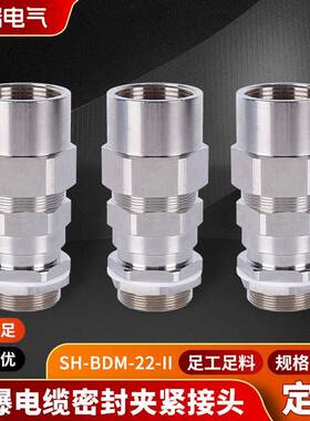 不锈钢铠装双密封填料函SH-BDM-22-II防爆格兰头电缆固定头