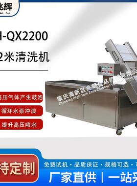 兆辉ZH-QX2200豆芽豆苗气泡清洗机 臭氧除杂超声波洗菜机