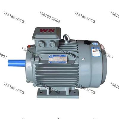 皖南电机YXVF225M-2-45KW 立式 卧式变频调速电机三相异步电动机