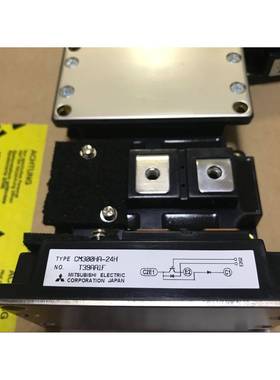 CM300DY-24ACM400DY-24ACM600DY-24NFCM300DU-24FCM100DY-24A