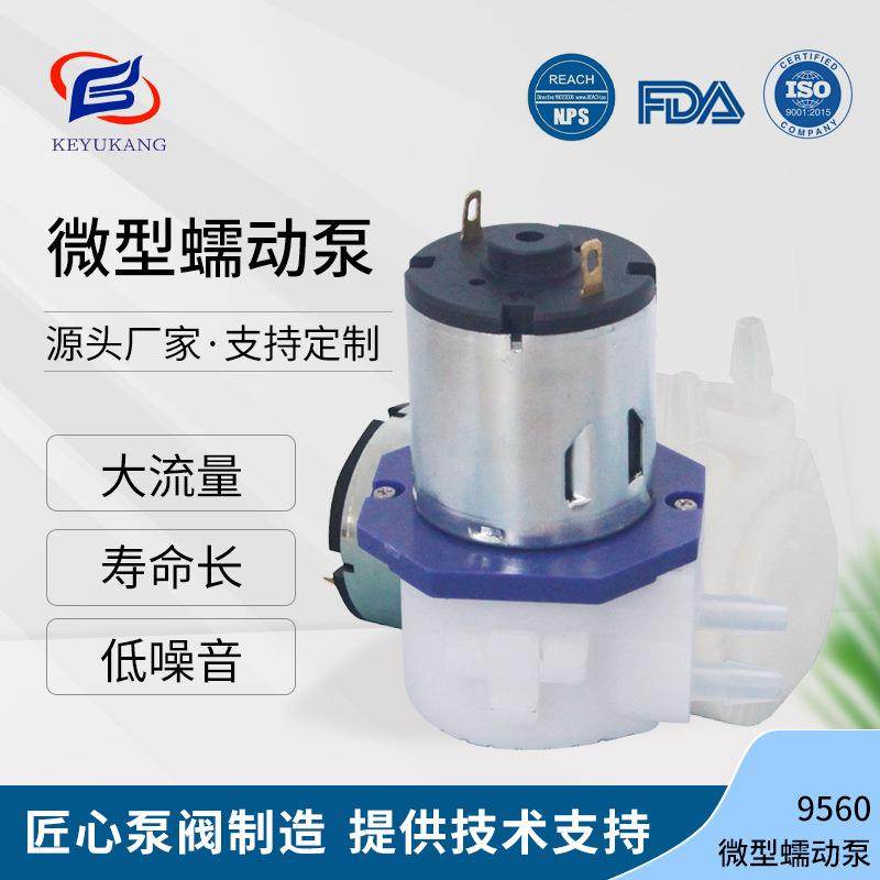 KYK9560微型小型迷你蠕动泵计量水泵家用小型抽水泵扫地机专用