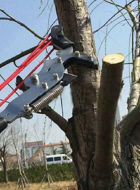 易事通6米柄果树长修枝剪枝可伸高剪伸缩杆缩加长加厚园林JJB高空