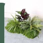 仿真苔藓青微景观室仿布内客厅假植物绿植造景组合橱窗TCW生苔装