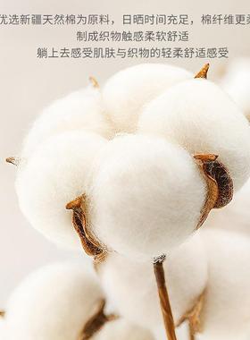 冬季60sPOC全棉床上四件套加厚10纯毛棉磨床笠0被罩三件套轻奢风