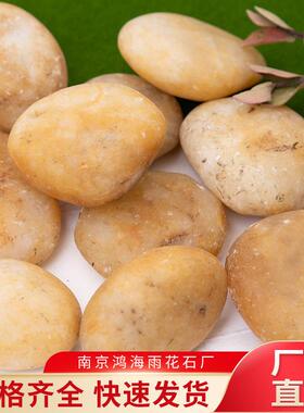 原黄色普抛雨花石园林景观卵鹅石天然路石鱼缸盆DSA栽铺小石头