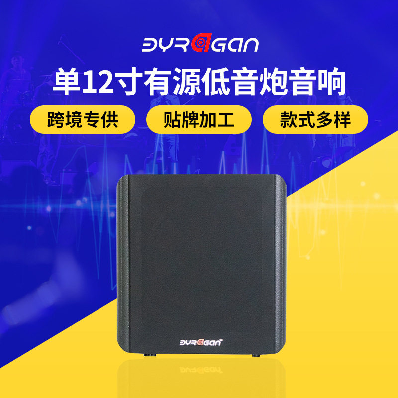 别墅影音房单12寸有源低音炮音响