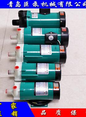 微型磁-力泵MP20RZM小型磁泵TEV（厂家力直销）